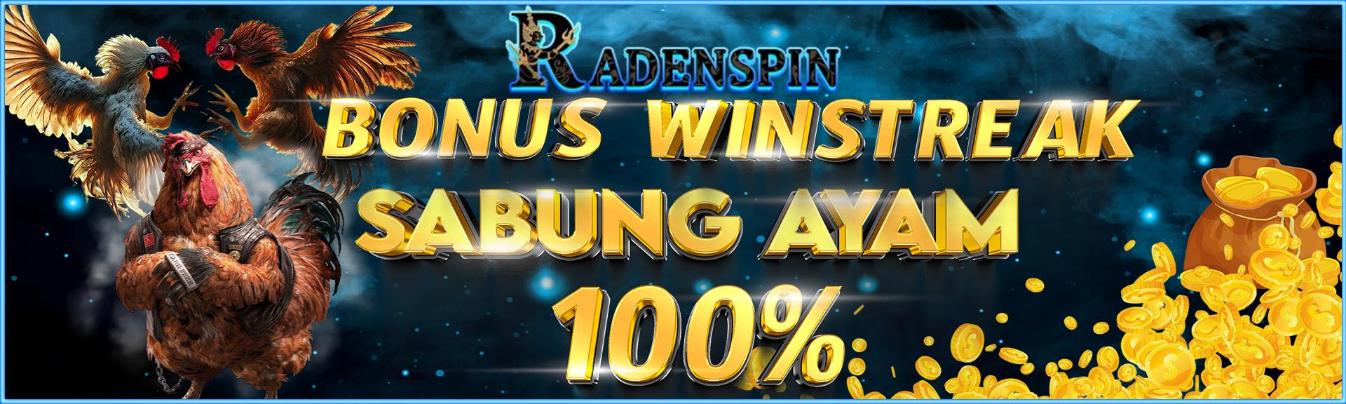 Support Bank RADENSPIN
